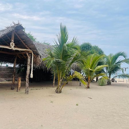 Surfing Beach Nilaveli Trincomalee Εξωτερικό φωτογραφία